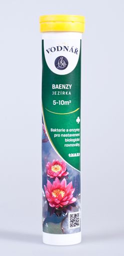 Baenzy mini